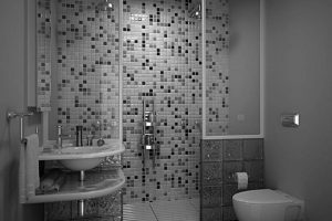 Bathroom Designs Thumbnail size Tiny Grey Bathrooms Scheme Escorted By Modern Walk In Shower Also Console Vanity As Well As White Toilet Scheme Hang On Grey Wall Painted Color Schemes Exquisite Grey Bathrooms