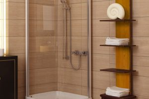 Bathroom Designs Thumbnail size Bathroom Designs Interesting Schemes For Nice Small Bathrooms Using Glass Shower Doors White Shower Floor Escorted By Brown Laminate Cabinets Brown Laminate Shelves Silver Portable Showers The Design Of Small Toilets For Small Bathrooms